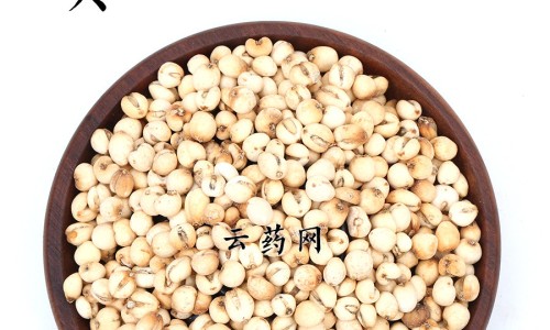 烟酰胺葡萄籽咀嚼片的功效与作用、烟酰胺加葡萄籽的害处 -烟酰胺葡萄籽片的功效与作用网